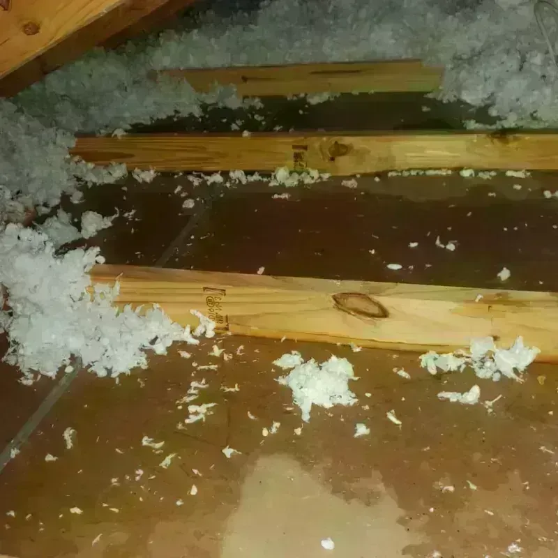 Attic Water Damage in Crooks, SD